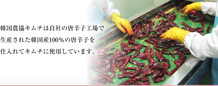 韓国農協キムチは自社の唐辛子工場で生産された韓国産100％の唐辛子を仕入れてキムチに使用しています。