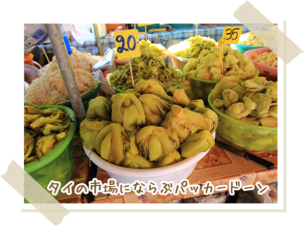 画像：タイの市場にならぶパッカードーン