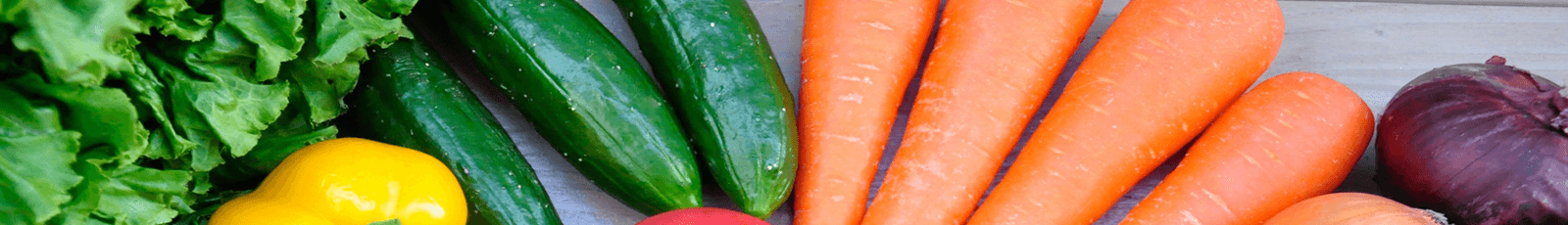 野菜の写真