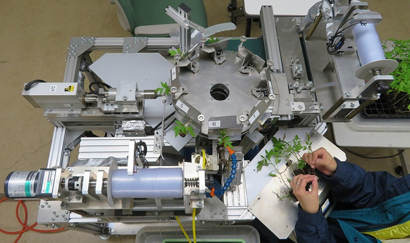 トマト用接ぎ木装置の写真