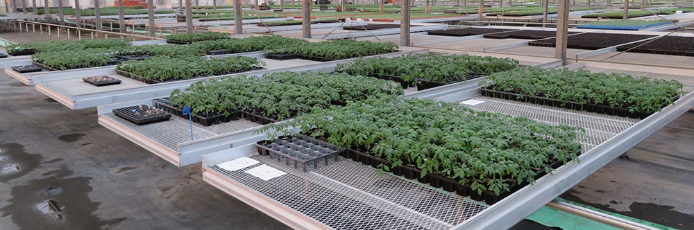 実証試験の様子