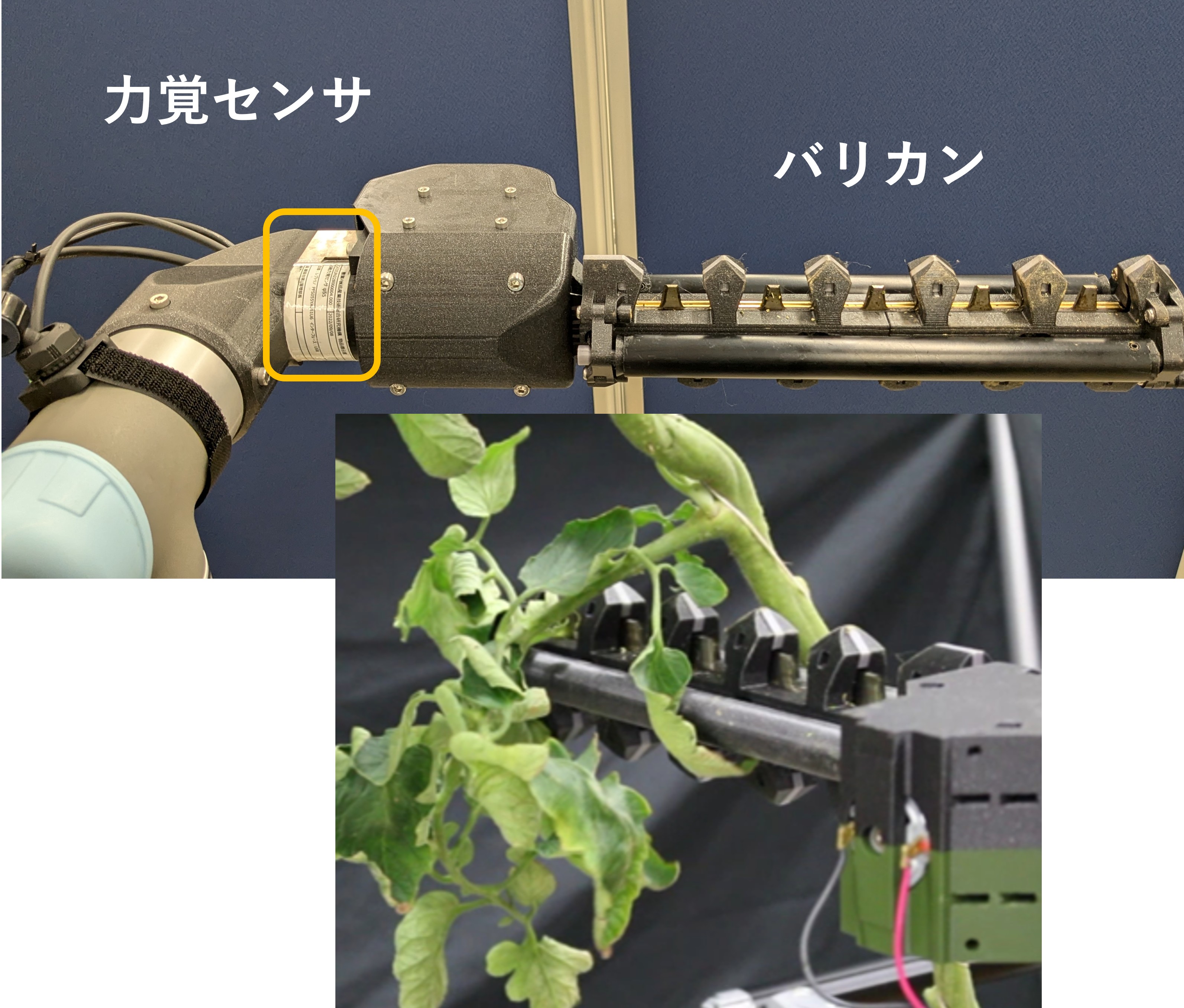 図1 力覚センサを備えた手先