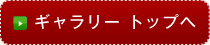 ギャラリートップへ