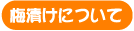 梅漬けについて
