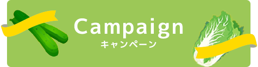 Campaignキャンペーン