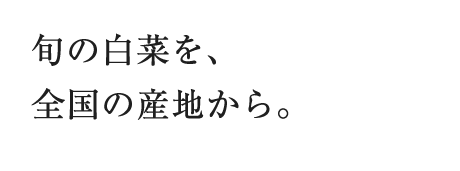 旬の白菜を、全国の産地から。