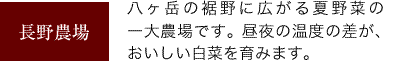 長野農場　八ヶ岳のすそ野に広がる夏野菜の一大農場です。昼夜の温度の差がおいしい白菜を育みます