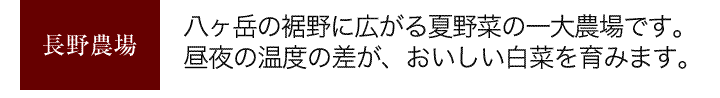 長野農場　八ヶ岳のすそ野に広がる夏野菜の一大農場です。昼夜の温度の差がおいしい白菜を育みます