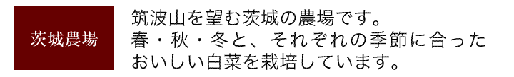 茨城農場　筑波山を望む茨城の農場です。春・秋・冬とそれぞれの季節に合ったおいしい白菜を栽培します。