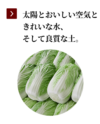 太陽とおいしい空気ときれいな水、そして良質な土。