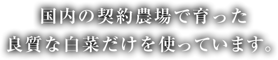 国内の契約農場で育った良質な白菜だけを使っています。