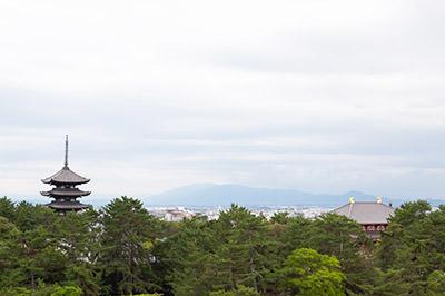 奈良県庁から望む豊かな緑とその合間にのぞく興福寺と五重塔