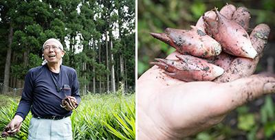 左：「広河原里山野菜加工グループ」の新谷久利さん。農業や加工品づくりを通して地域振興に力を注いでいる。<br />
右：旬を迎えた『花街みょうが』。大ぶりで豊かな香りと鮮やかな色合いが特徴。