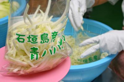 青いパパイヤは野菜として、千切りにした状態で売られている。