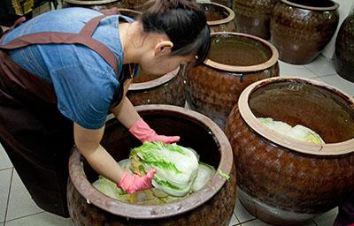 水切りをして、白菜が冷めたら、かめに漬け込む