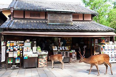 創業150年の森奈良漬店。戦時中、東大寺の境内にあった店舗を現在の地に移転したという、歴史ある建物。