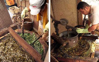 左：大きな釜で、色が変わった茶葉を奥に押しながらゆでていく<br />
右：揉捻機で茶葉をもむことで、発酵しやすくなる