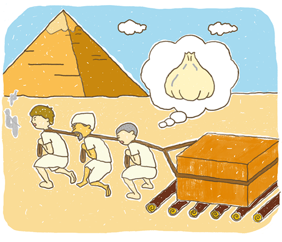 画像：エジプトのピラミッド建設にはにんにくが必需品だった