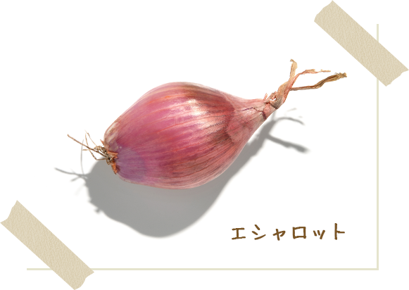 画像：エシャロット