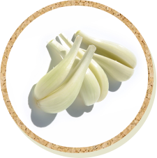 画像：らっきょう