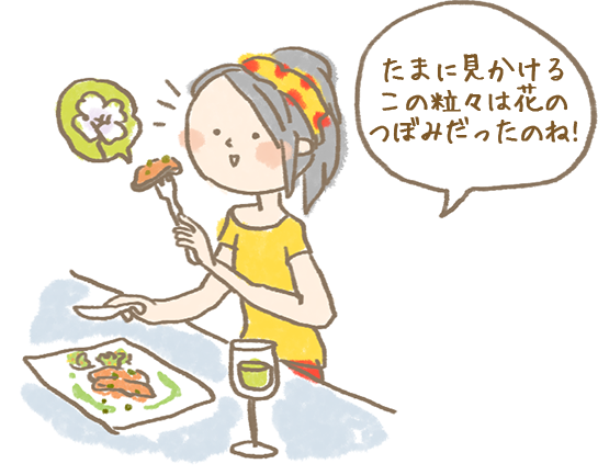 画像:たまに見かけるこの粒々は花のつぼみだったのね!